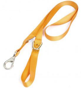 Chain Saw Safety Strap