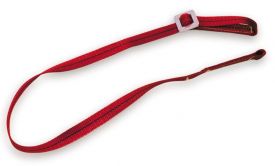 Restraint Lanyard